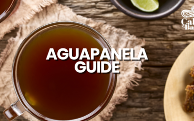 7 Best Traditional Colombian Drinks in NJ: Aguapanela Guide